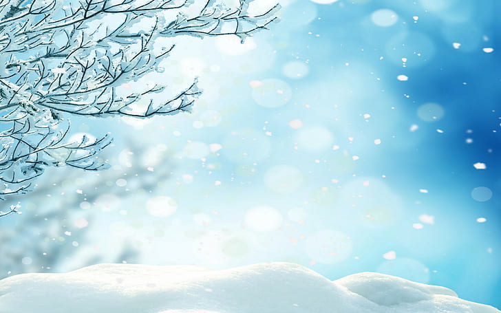 Winter snowflakes, forest, trees, nature, HD wallpaper