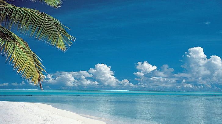 Paradise Beach, Sea, Water, Blue Sky, Clouds, Tree, HD wallpaper
