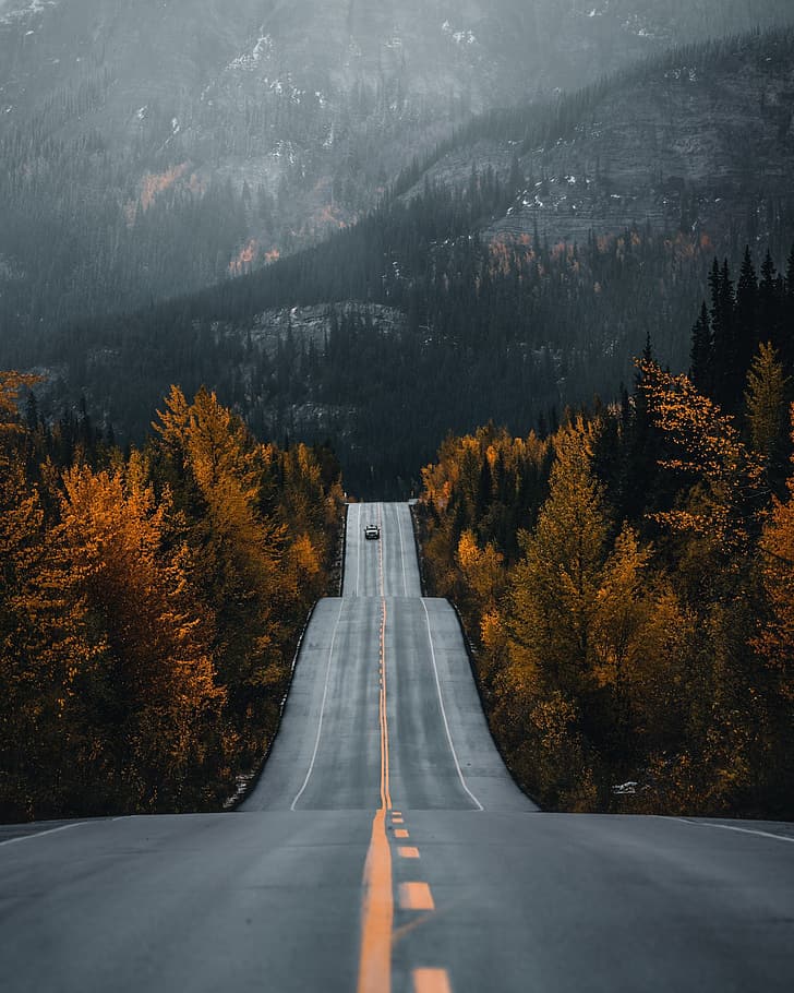 Pine falls. Дорога лес горы осень. Уклон на дороге. Дорога между сосен. Дорога под наклоном.