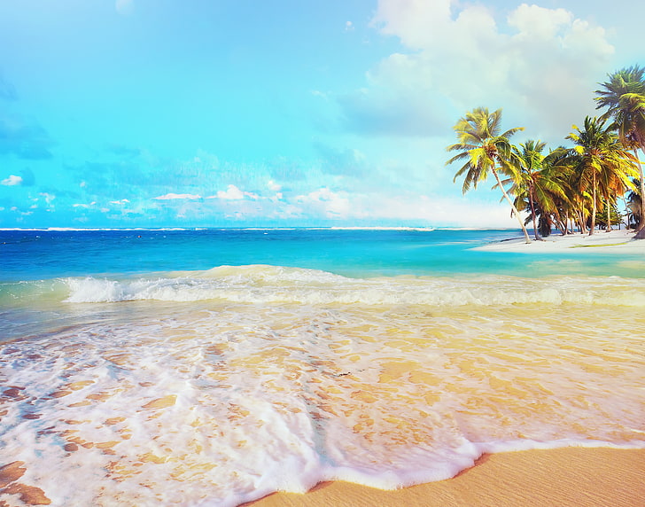 coconut palm trees, landscape, beach, sea, water, sky, beauty in nature