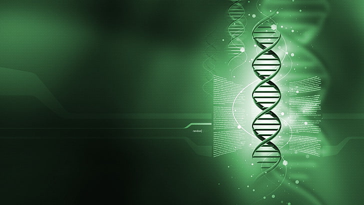 green DNA wallpaper, genetics, digital art, green color, close-up, HD wallpaper