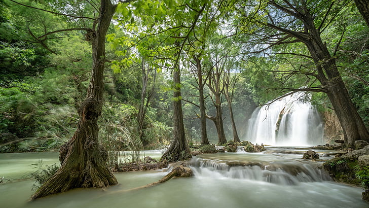 waterfalls the chiflon, chiapas, mexico, tzimol, 8k uhd, forest