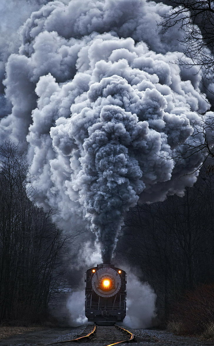 train, nature, steam locomotive, portrait display