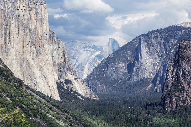nature, trees, Yosemite Valley, Yosemite National Park, mountain, HD wallpaper
