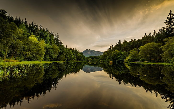 Earth, Reflection, Glencoe Lochan, Scotland, Tree, Wood