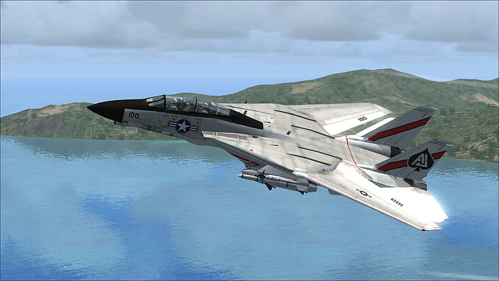 Fsx F-14 Tomcat Vf-41, prop, heli, water, sand, carrier, rocket, HD wallpaper