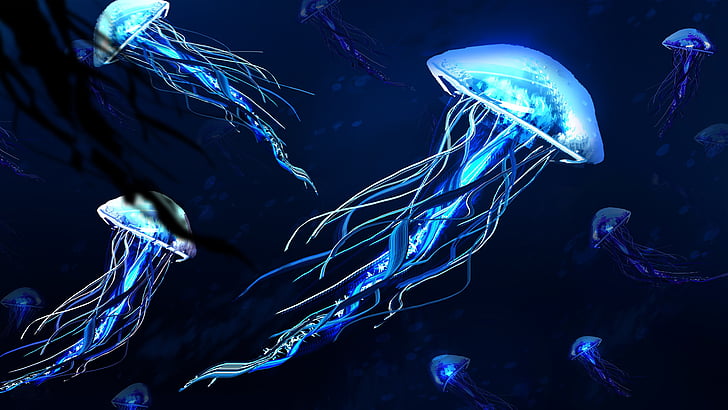 jellyfish, light, underwater, 5k, electric blue, darkness, 5k uhd, HD wallpaper