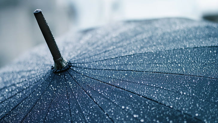 umbrella, rain, water drops, closeup, depth of field, lines, HD wallpaper
