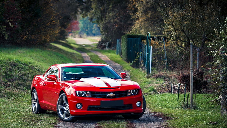 red Chevrolet Camaro, car, vehicle, muscle cars, mode of transportation, HD wallpaper