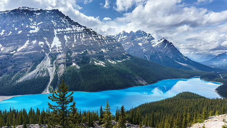 Canada, sky, blue, Banff National Park, lake, Peyto Lake, trees, HD wallpaper