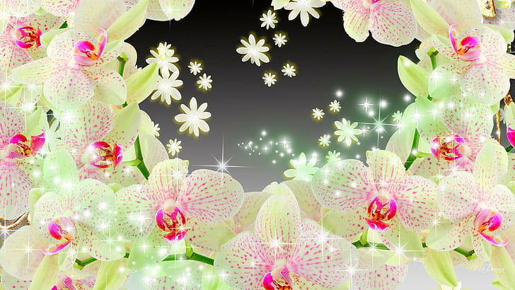 Shining Orchids, green and pink orchids template, delicate, glitter, HD wallpaper