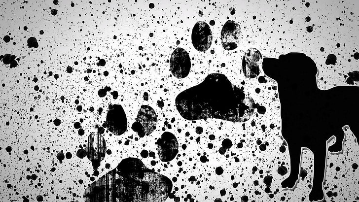 HD wallpaper: silhouette of dog painting, paws, puppies, paint splatter,  indoors | Wallpaper Flare
