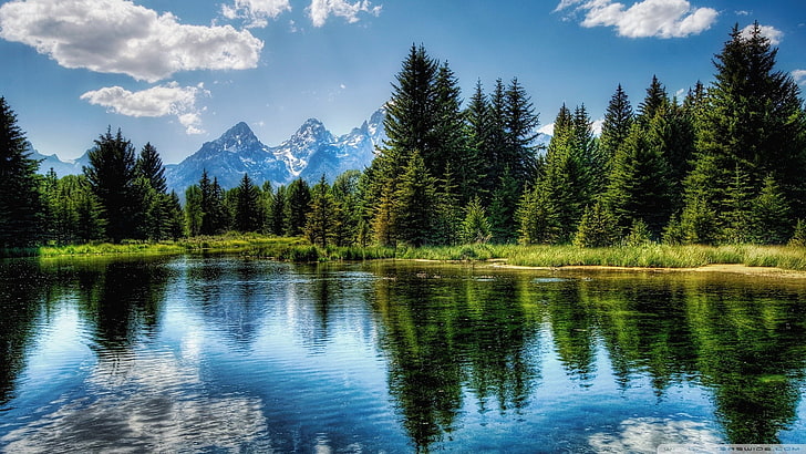 nature, landscape, trees, mountains, reflection, water, beauty in nature