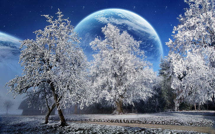 HD wallpaper: A Beautiful Winter With A Big Moon, nature, tree, cold, trees  | Wallpaper Flare