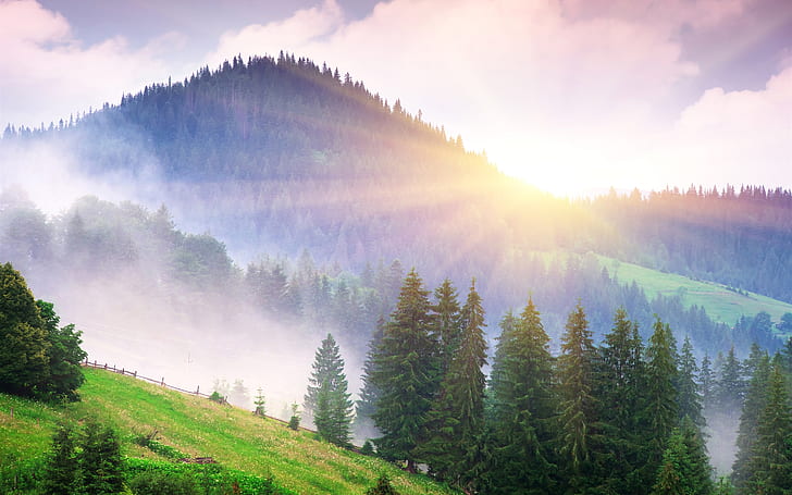Beautiful morning nature, mountains, fog, dawn, trees, sun rays, HD wallpaper