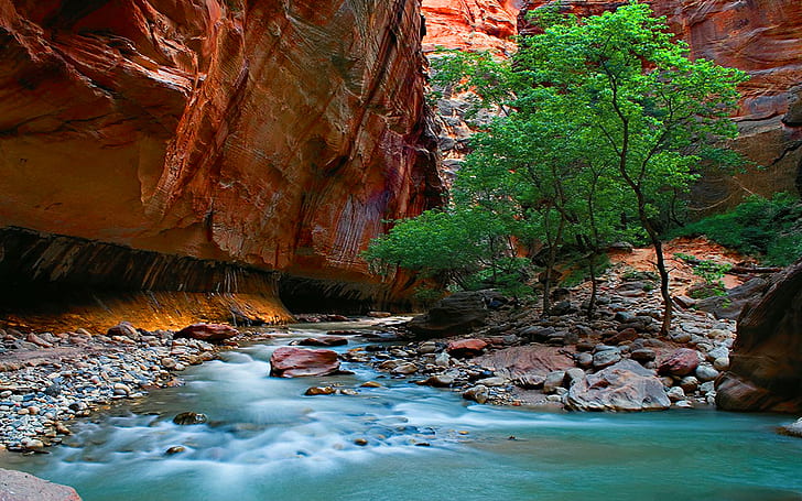 The Narrows Zion National Park Rocks Stones River Canyon Full Hd Wallpapers 1920×1200