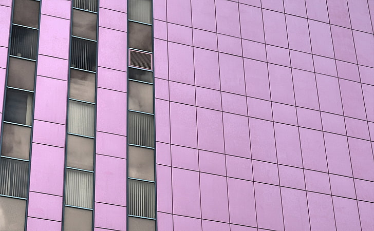 wall, office, window, architecture, pink color, built structure