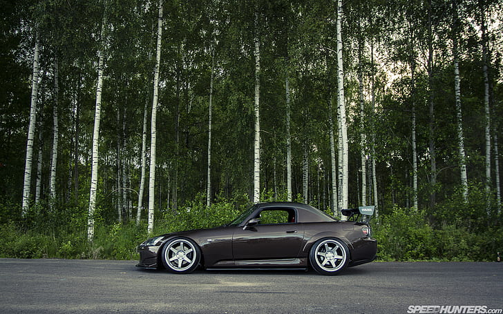 Honda S2000 Trees Forest HD, cars