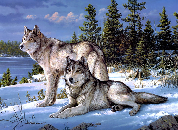 two white-and-black wolves painting, winter, forest, Joseph Hautman