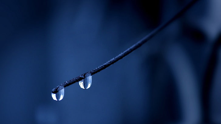 dew drops, macro, nature, water drops, twigs, close-up, hanging