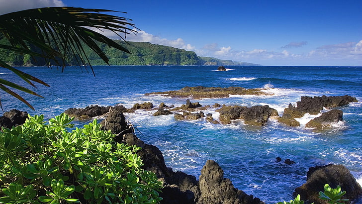 sea and green trees, landscape, nature, island, tropical, rocks