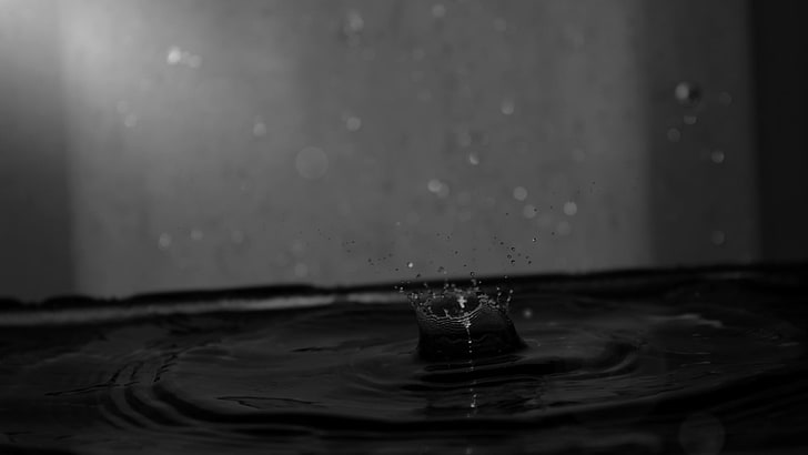 black and gray wooden bed frame, monochrome, water, water drops, HD wallpaper