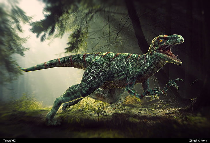 Animal, Dinosaur, Velociraptor, HD wallpaper