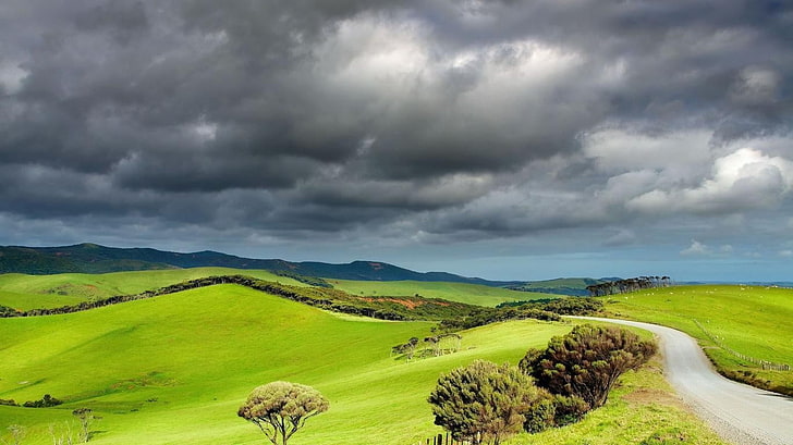 green plains, landscape, overcast, clouds, field, hills, path