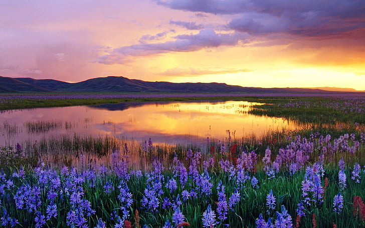 Sunset Flowers Lake Camas Prairie Idaho Geographical Areas In The Western United States Ultra Hd 4k Hd Wallpaper 3840×2400