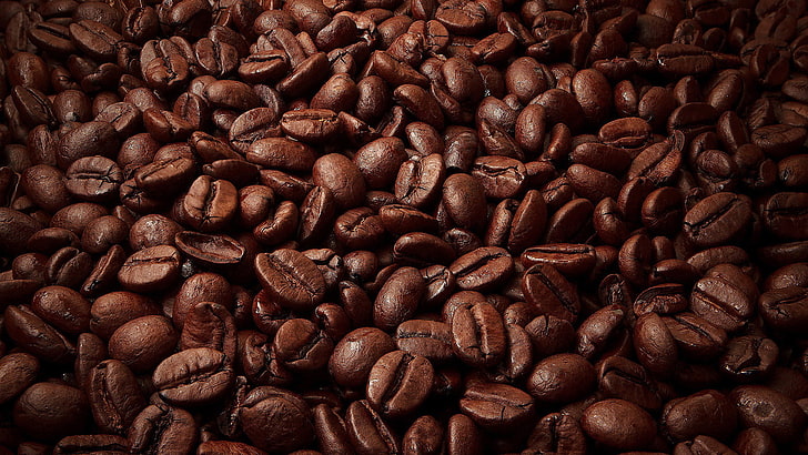 seed, nature, bean, nut, beans, coffee, brown, food, caffeine, HD wallpaper