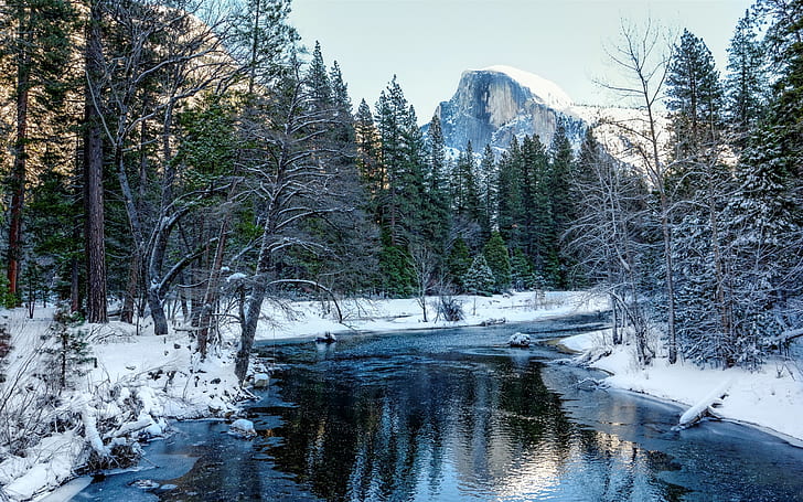 Yosemite National Park, California, USA, snow, forest, trees, mountains, river, body of warter, HD wallpaper