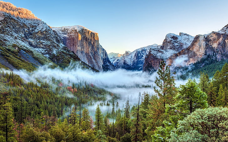 green pine trees and ice coated mountains, usa, yosemite national park, HD wallpaper