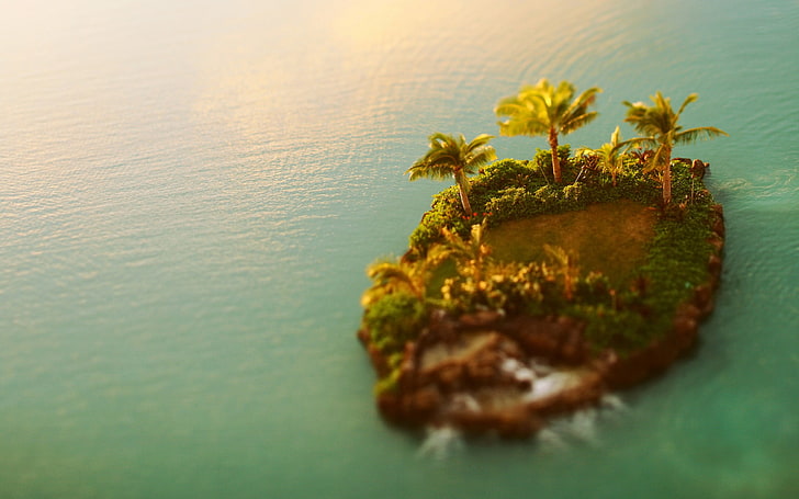 green and brown island, nature, macro, sea, Motu, water, palm trees