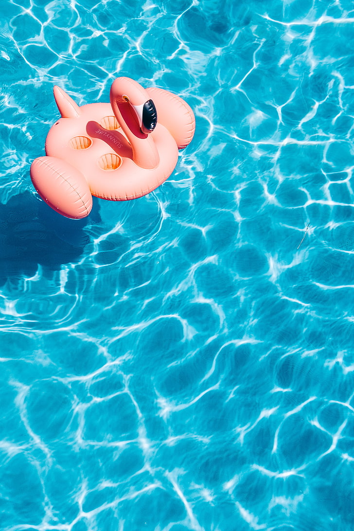 pink flamingo pool floater, water, summer, vacations, blue, swimming Pool, HD wallpaper