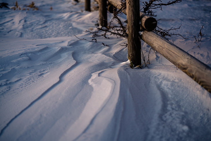 winter, snow, fence, depth of field, cold temperature, nature, HD wallpaper