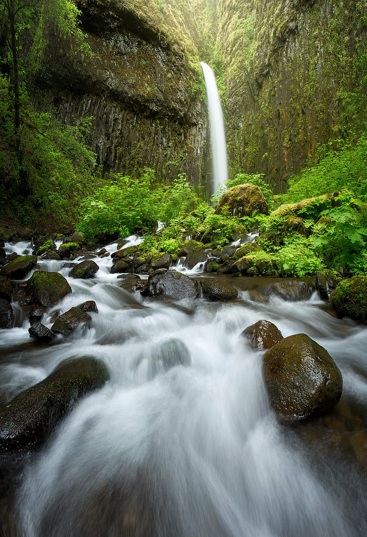 waterfalls surrounded by green plants and moss, dry creek, dry creek, HD wallpaper