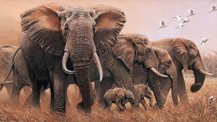 Elephant art 1080P, 2K, 4K, 5K HD wallpapers free download | Wallpaper Flare
