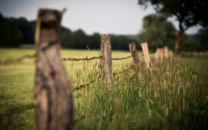 Macro Fence Field Barb Wire HD, brown wooden fence board, nature, HD wallpaper