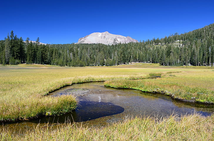 swamp Covered by grass, Upper, Kings Creek, Meadow, Lassen Volcanic National Park