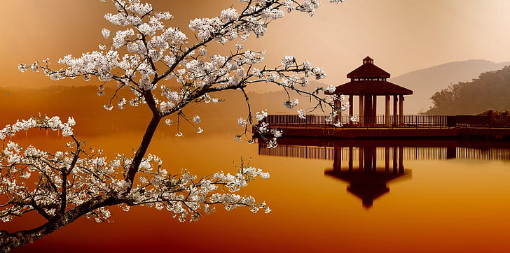 brown pagoda shrine, Sakura, Eastern landscapes, house on the water, HD wallpaper