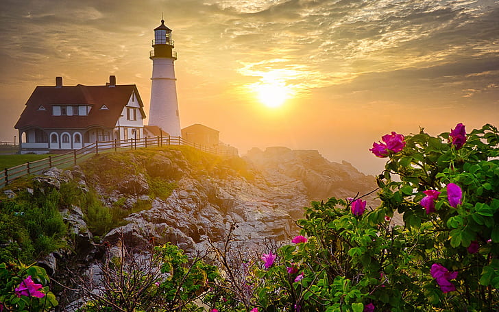 Lighthouse, morning, rocks, flowers, sunrise, HD wallpaper
