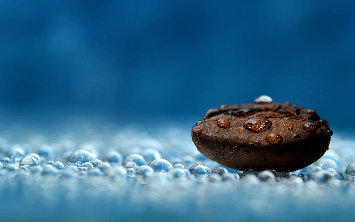 Water On Earth, nature, blue, waterdrop, drops, stone, nature and landscapes, HD wallpaper