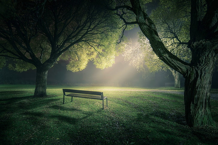 brown wooden bench, park, lawns, trees, nature, lights, green, HD wallpaper