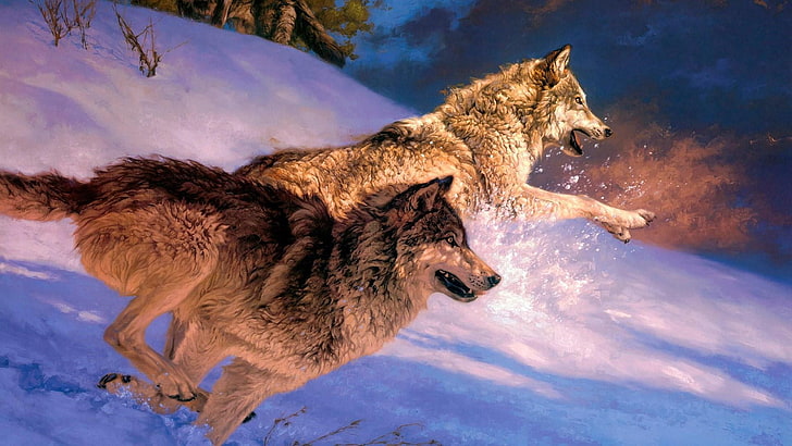 wolf, wolves, wildlife, running, mammal