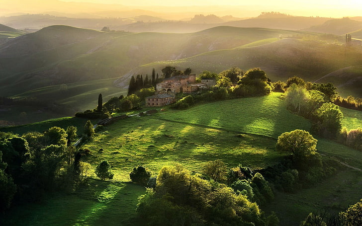 green grass field and tree, Tuscany, sunlight, landscape, hills