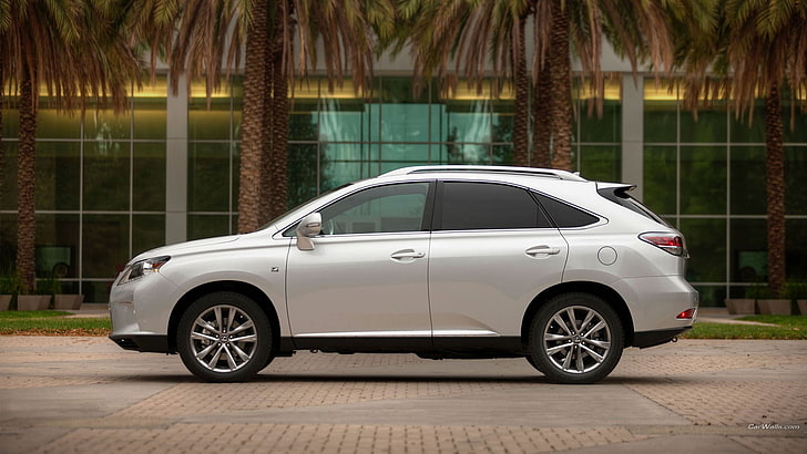 white SUV, Lexus RX350, silver cars, vehicle, mode of transportation