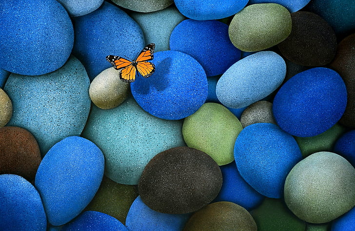 blue, bold colors, brown, butterfly, composition, monarch butterfly, HD wallpaper