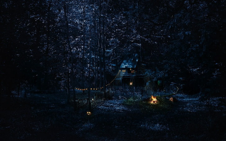 Cabin, Campfire, forest, night, HD wallpaper