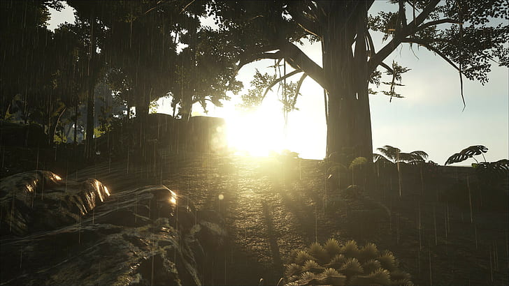 Ark: Survival Evolved, sunset, plant, tree, nature, sky, growth