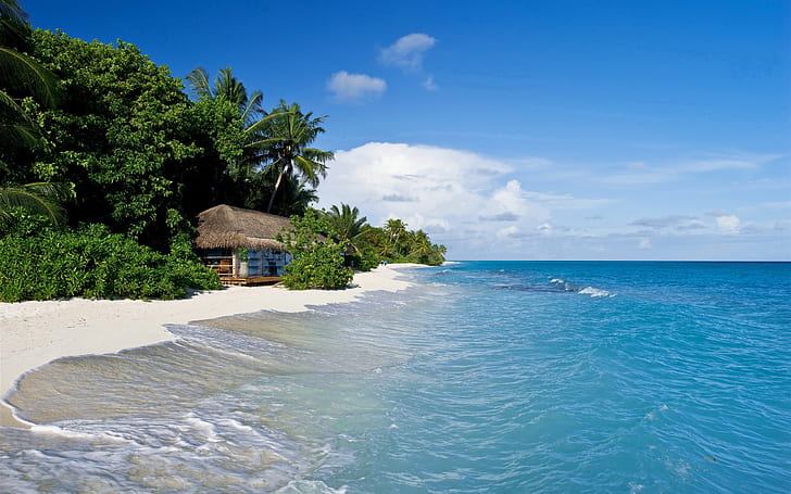 Maldives, tropical, sea, beach, palm trees, hut, HD wallpaper